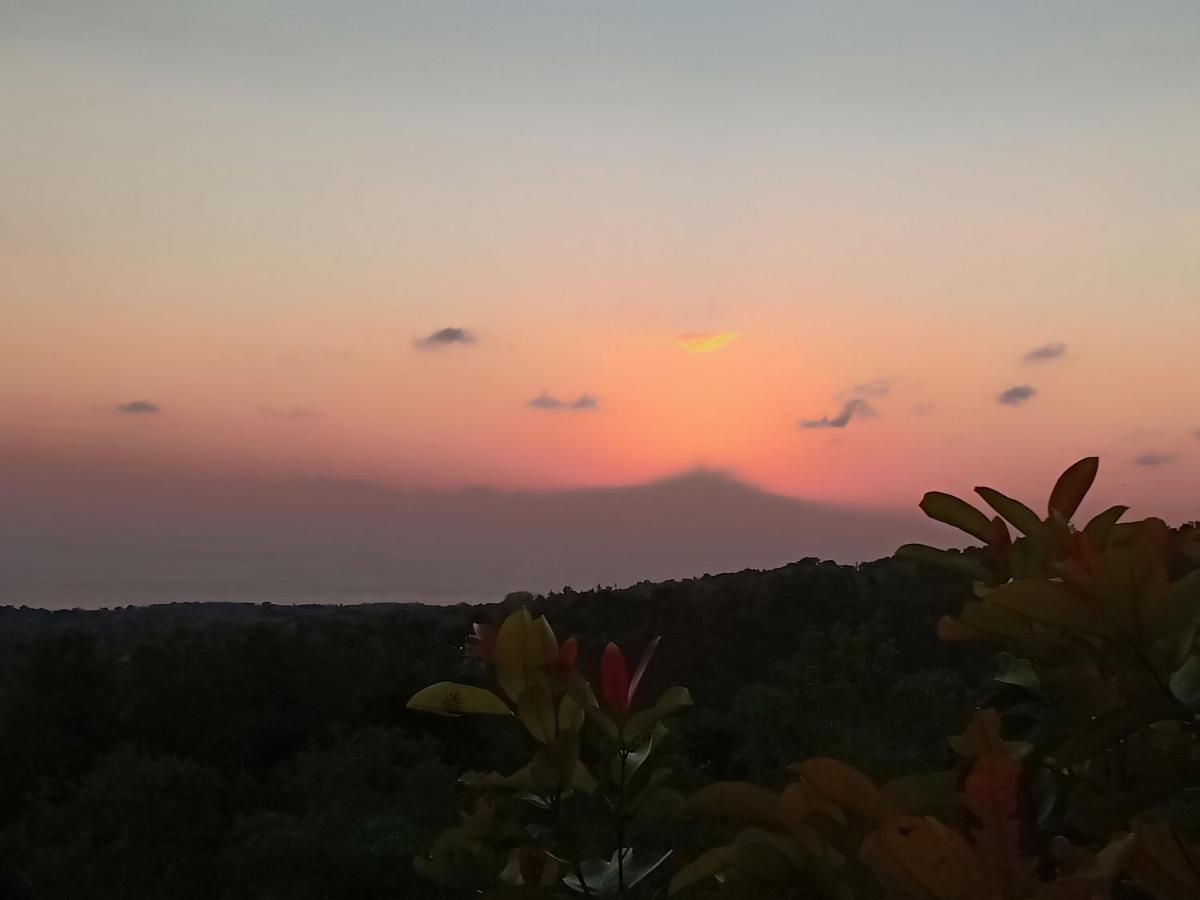 Rumah Pohon Batununggul Exteriér fotografie